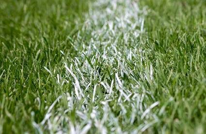 Line Marking on Grass