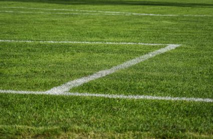 Alben's intelligent field painter robot