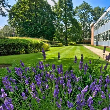 Landscaping Operatives 