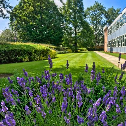 School grounds landscaped